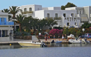 Artemis Hotel