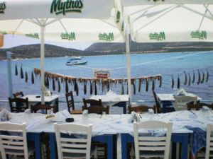 Captain Pipinos Seafood Taverna